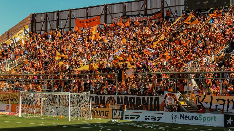 天博体育 APP — 营业执照与资质公示示意配图